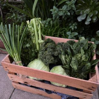 6 MONTH FULL CSA BOX (Twenty Six Weekly Boxes)
